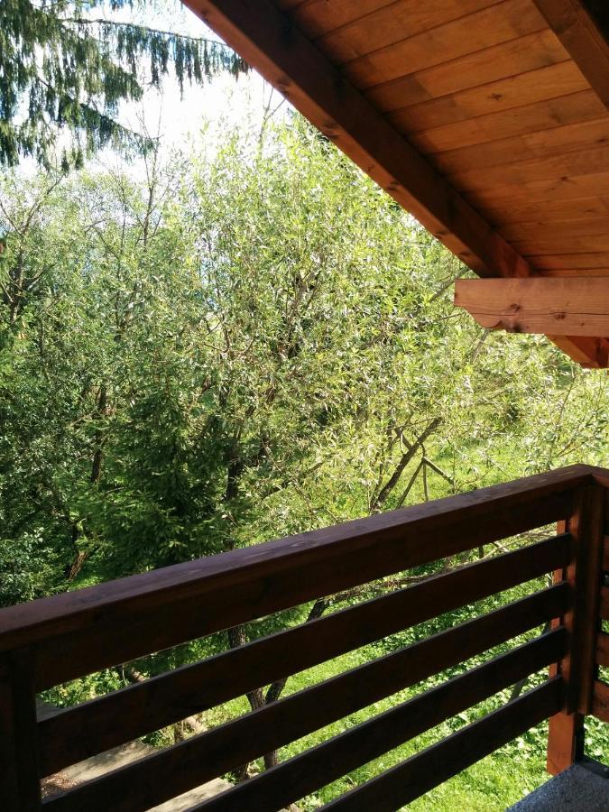 Casuta Pietrosul Rodnei Leilighet Borşa Eksteriør bilde